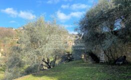GRASSE - St François - Belle et spacieuse bastide avec jardin arboré
