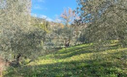 GRASSE - St François - Belle et spacieuse bastide avec jardin arboré
