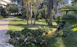 CANNES - Montrose - 3P Terrasse