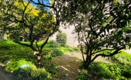 CANNES - TERRAIN CONSTRUCTIBLE VILLA