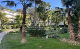 CANNES - Montrose - 3P Terrasse