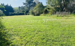 RARE-TERRAIN-MOUGINS