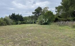 RARE-TERRAIN-MOUGINS