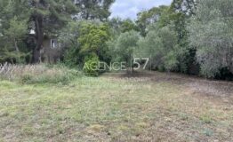 RARE-TERRAIN-MOUGINS