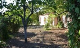 GRASSE  maison 125 m2 terrain 980 m2
