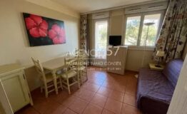 Studio cabine avec terrasse et aperçu mer Les Issambres